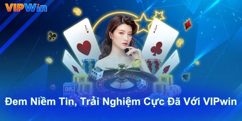 Chi Tiết Một Số Thông Tin Về Thương Hiệu Vipwin